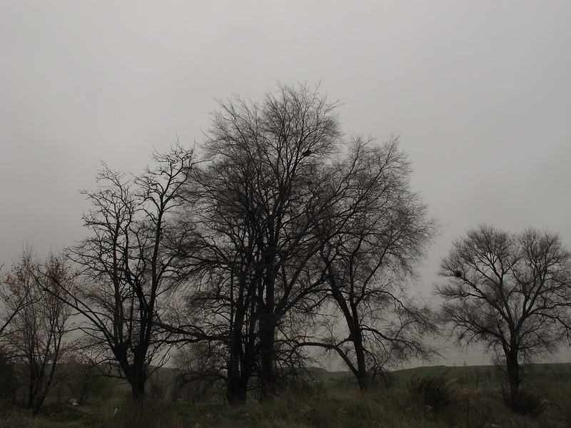Invierno